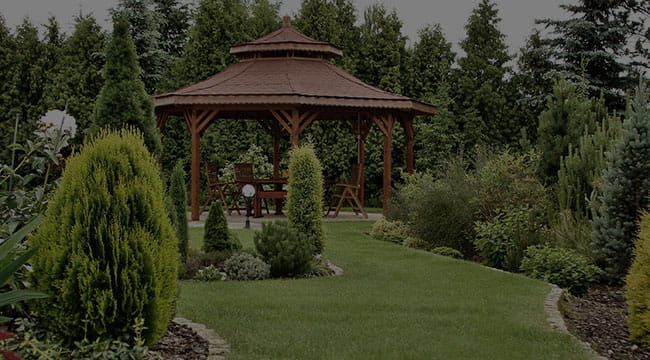 Dilworth Garden Design